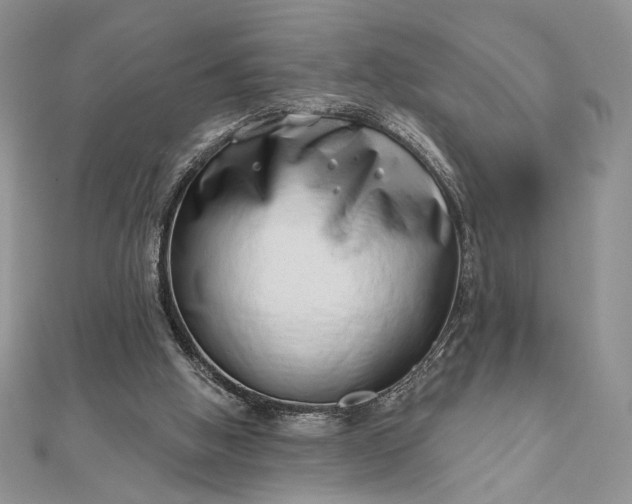 X0000111670058200907311207