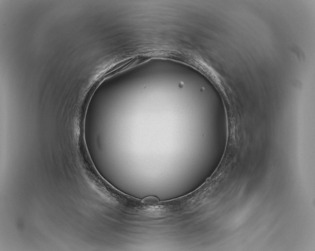 X0000111670059200907311207