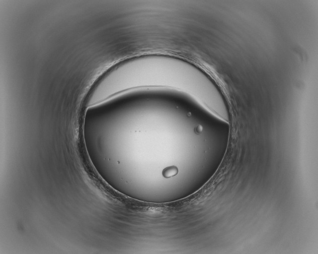 X0000111670060200907311207