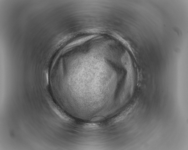 X0000111670061200907311207