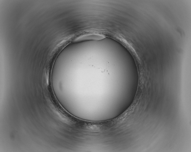 X0000111670062200907311207