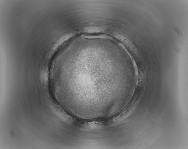 X0000111670064200907311207