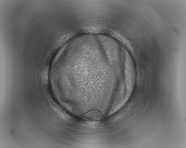 X0000111670065200907311207