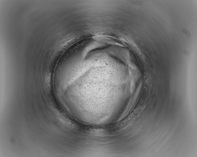 X0000111670066200907311207