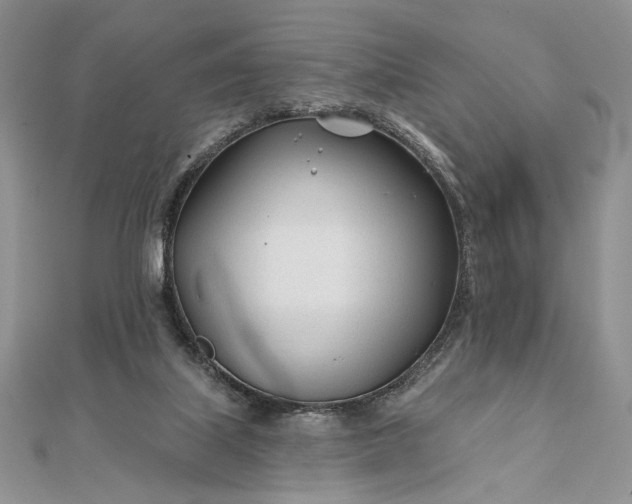 X0000111670067200907311207