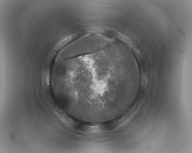 X0000111670068200907311207