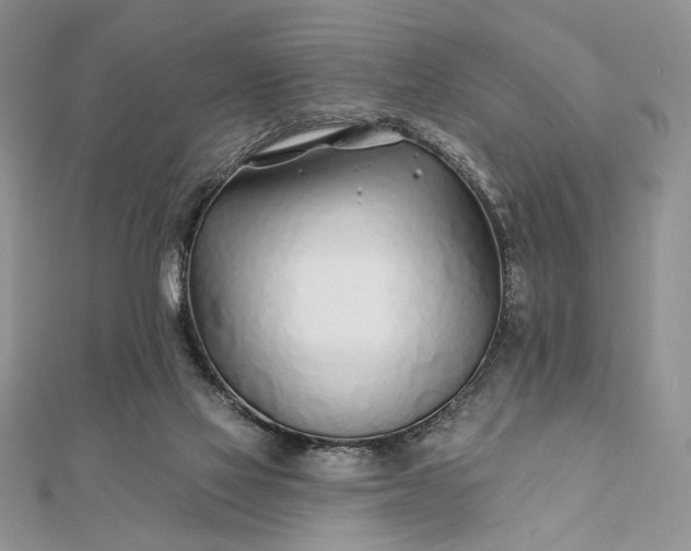 X0000111670069200907311207