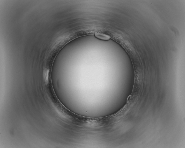 X0000111670070200907311207