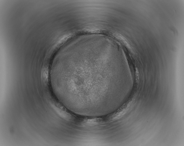 X0000111670072200907311207