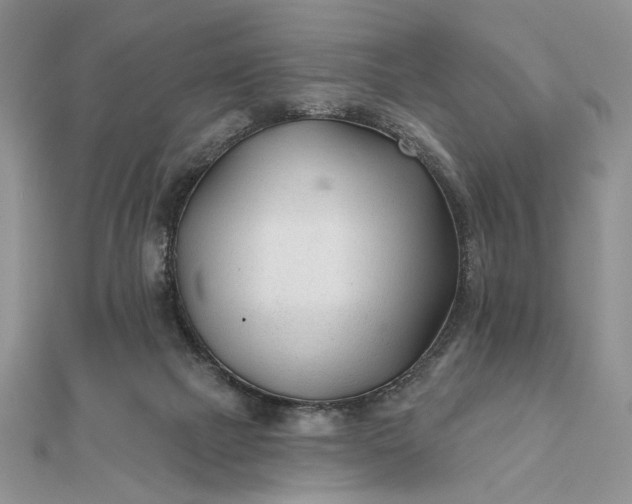 X0000111670073200907311207