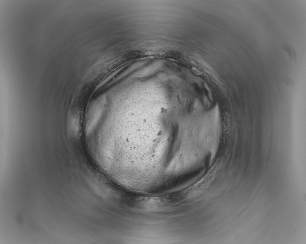 X0000111670074200907311207