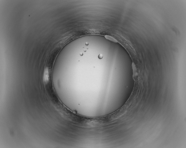 X0000111670075200907311207