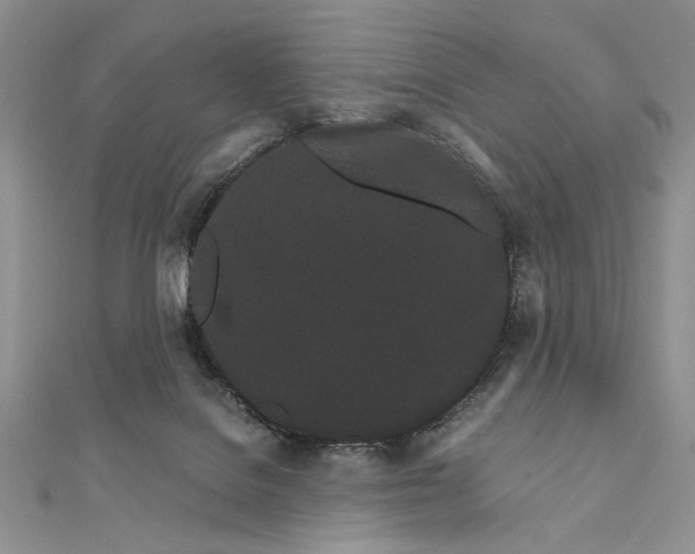 X0000111670076200907311207