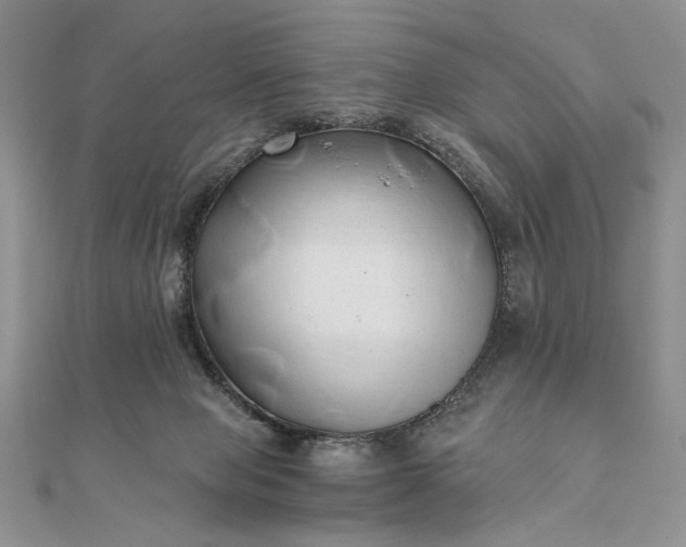 X0000111670077200907311207