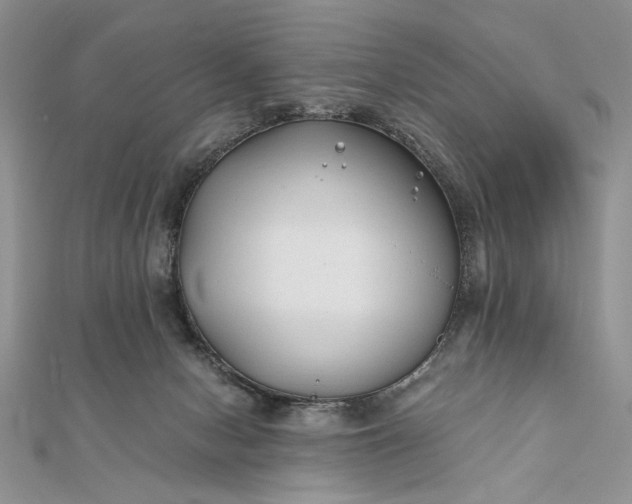 X0000111670078200907311207