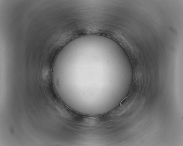 X0000111670079200907311207