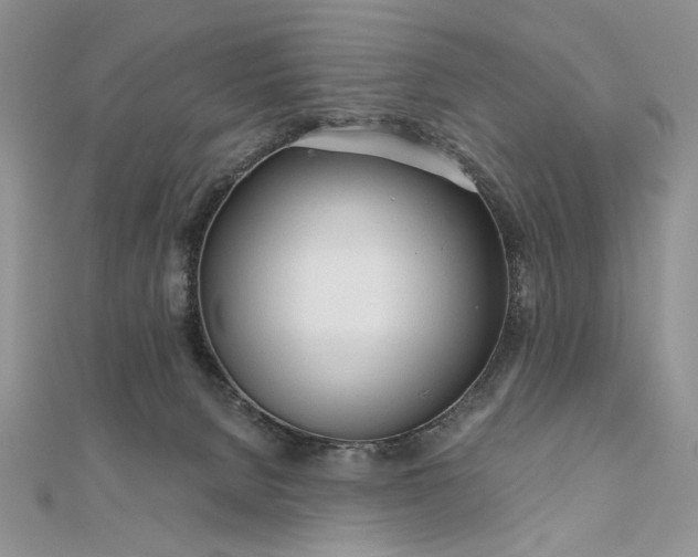 X0000111670080200907311207