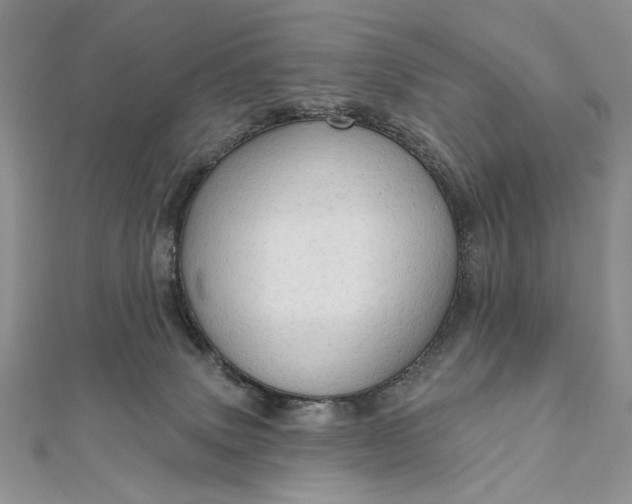 X0000111670083200907311207