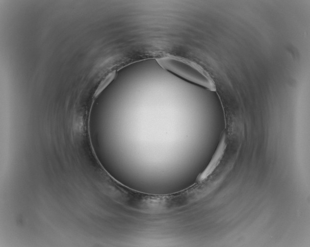 X0000111670084200907311207