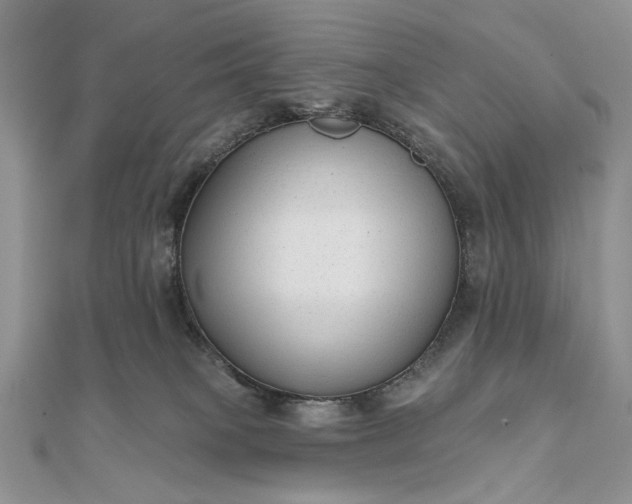 X0000111670085200907311207