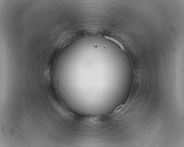 X0000111670086200907311207