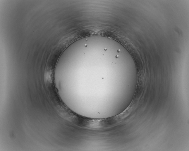 X0000111670090200907311208