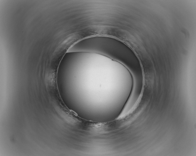 X0000111670092200907311208