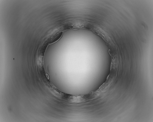 X0000111670093200907311208