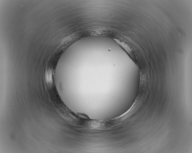 X0000111670094200907311208