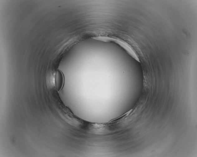 X0000111670095200907311208