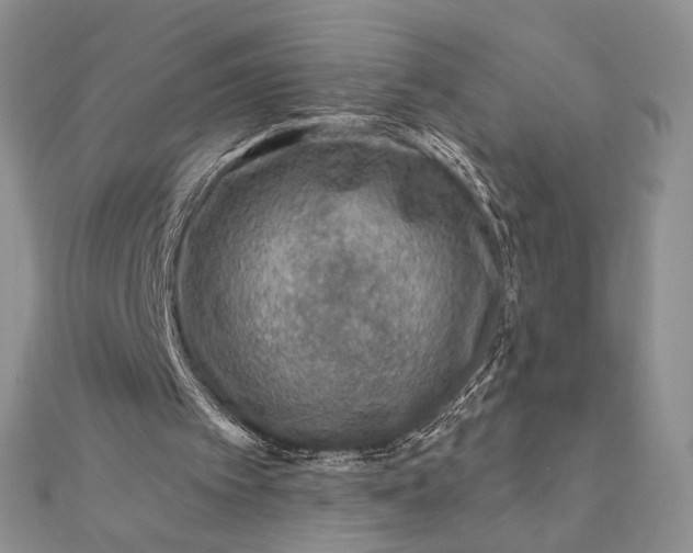 X0000111670097200907311207