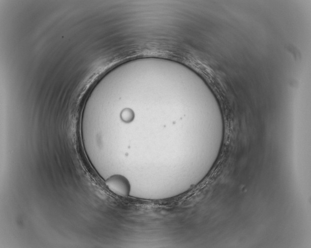 X0000111670098200907311207