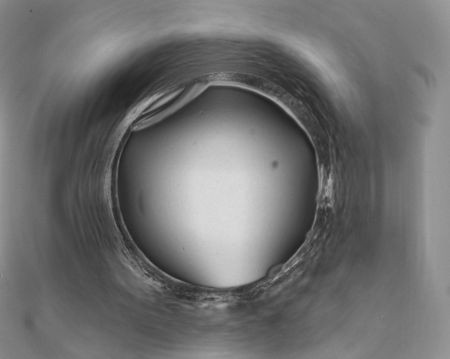 X0000111670099200907311207