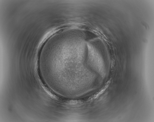 X0000111670101200907311207