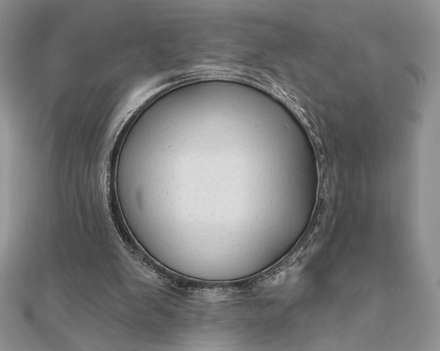 X0000111670103200907311207