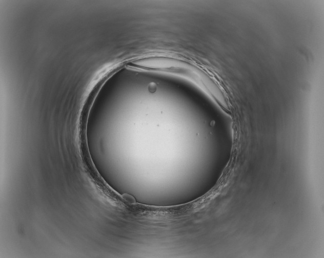 X0000111670104200907311207