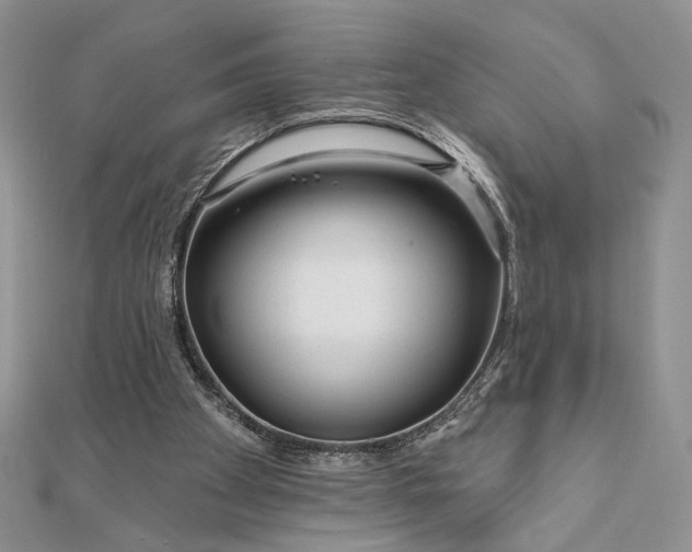 X0000111670105200907311207