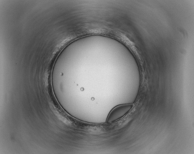 X0000111670106200907311207