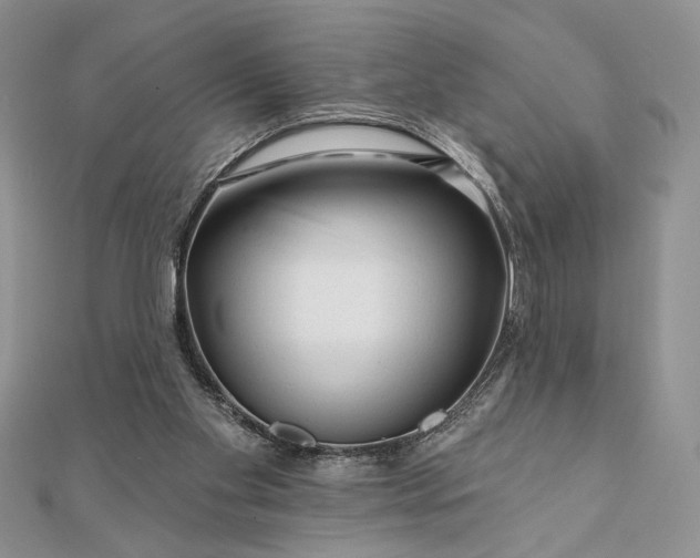 X0000111670109200907311207