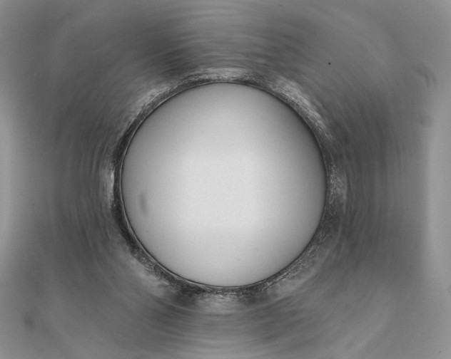 X0000111670110200907311207