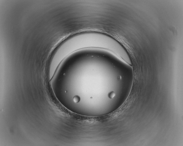 X0000111670112200907311207