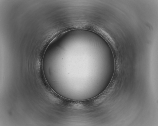 X0000111670113200907311206