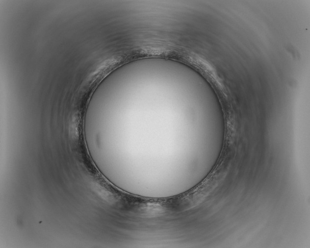 X0000111670114200907311206