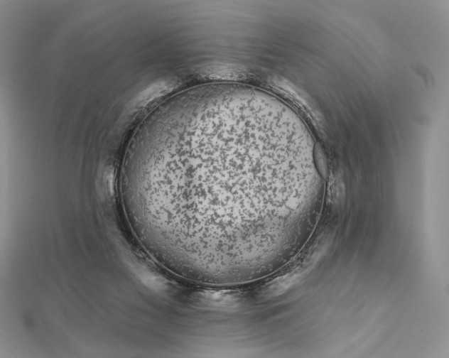 X0000111670117200907311206