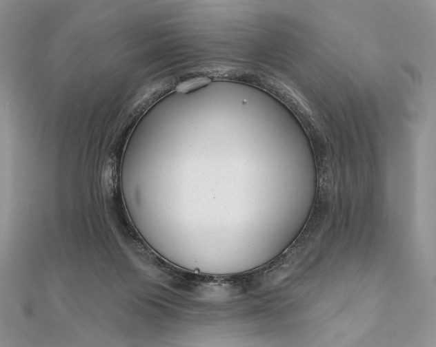 X0000111670119200907311206