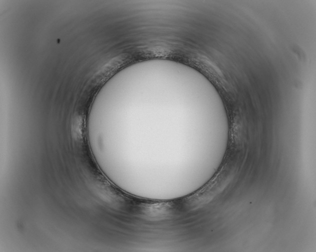 X0000111670122200907311206