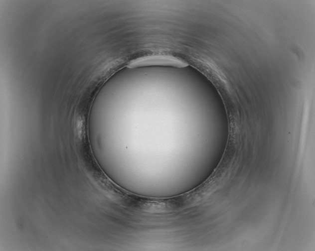 X0000111670123200907311206