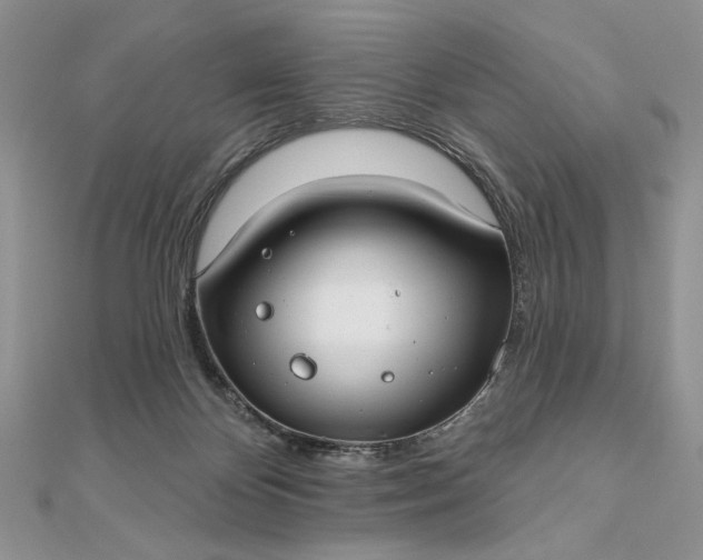 X0000111670124200907311206