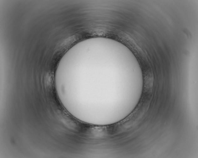 X0000111670126200907311206