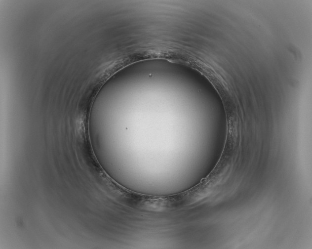 X0000111670127200907311206